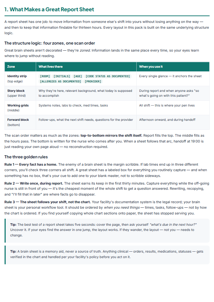 Nurse Report Sheet Templates & Brain Sheet Pack — sample page 2